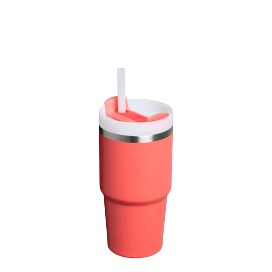 10-10826-308 (1) فلاسک استنلی سری THE FLOWSTATE مدل QUENCHER H2.0 – حجم 590 میلی لیتر