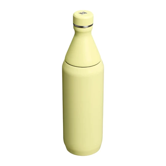 قمقمه استنلی سری THE ALL DAY مدل SLIM BOTTLE – حجم 590 میلی لیتر