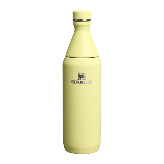 قمقمه استنلی سری THE ALL DAY مدل SLIM BOTTLE – حجم 590 میلی لیتر