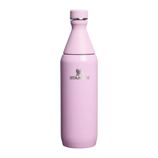 قمقمه استنلی سری THE ALL DAY مدل SLIM BOTTLE – حجم 590 میلی لیتر