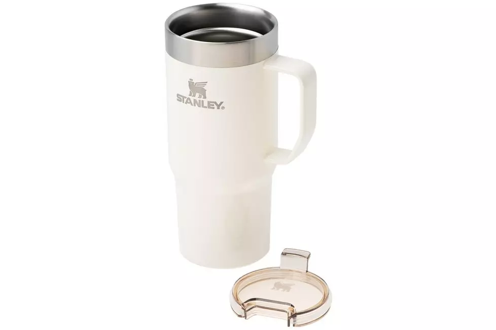 10-13861-044 (6) لیوان تامبلر دسته دار استنلی مدل The Everyday Suburban Mug حجم 470 میلی لیتر